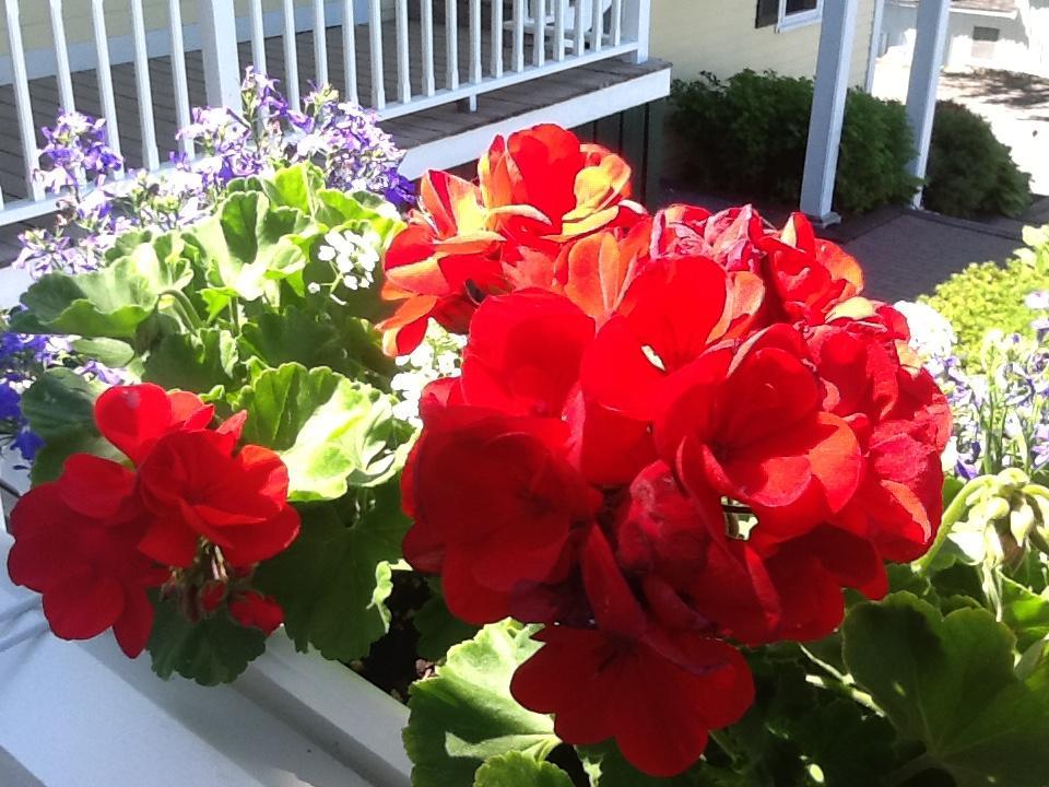 Harbor House Inn Boothbay Harbor Exterior foto